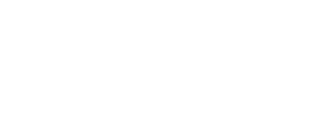 University of Aalborg's logo - white