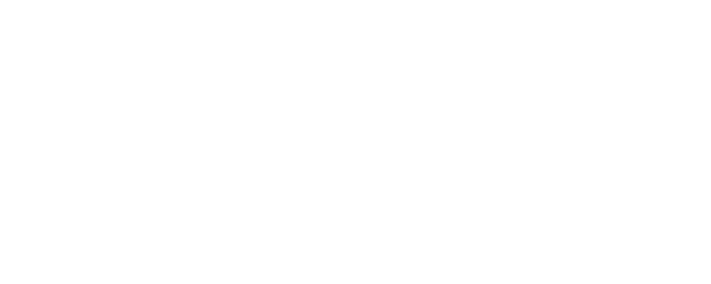 BlueKolding's logo - white