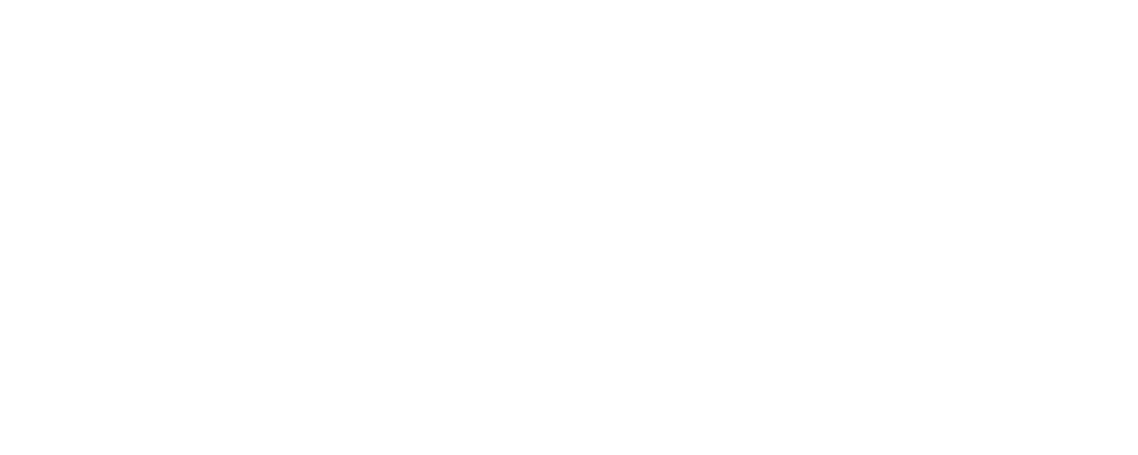 CLEAN's logo - white