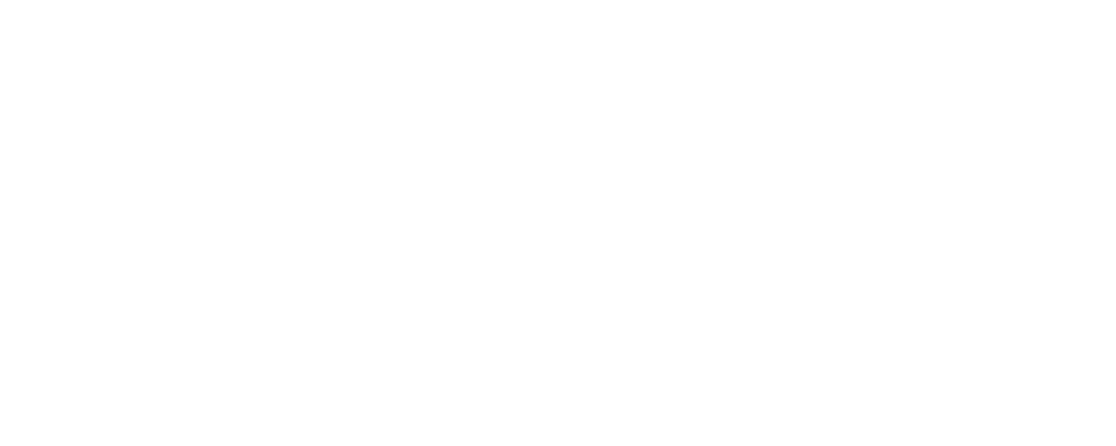 Region of South Denmark's logo - white
