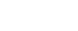 SDU's logo - white